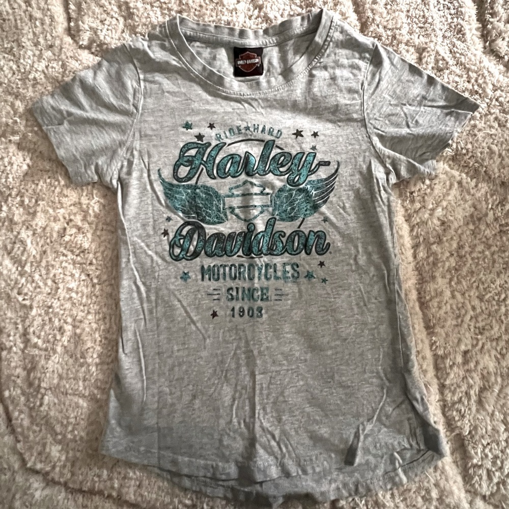 Harley Davidson T-shirt- Child Size Large- Grey